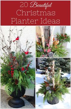 christmas planter ideas with evergreens, pine cones and red berries in the center