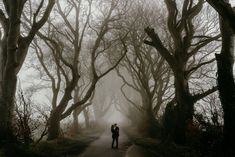 two people standing in the middle of a road surrounded by trees on a foggy day