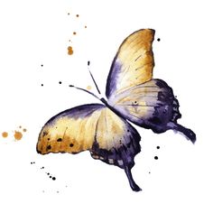 a yellow and purple butterfly with spots on it's wings flying in the air