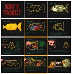 an image of different types of fish in neon colors on black paper with text that reads don't panic