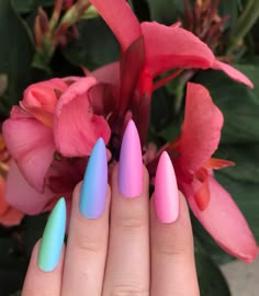 Colourful Ombre Nails, Vertical Ombré Nails, Pink And Purple Matte Nails, Spring Nails Stiletto Pastel, Pastel Stiletto Nails, Purple Ombre Matte Nails, Coffin Rainbow Nails, Rainbow Gradient Nails, Pink And Blue Ombre Nails Coffin