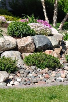 a garden with rocks and plants in it