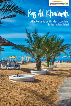 a magazine cover with palm trees on the beach