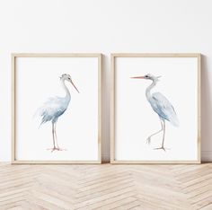 two watercolor paintings of birds are displayed on the wall next to a chevron wood floor