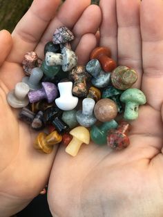 (3) Mini crystal mushrooms  selected intuitively but you are welcome to add a preference Cute Crystals, Mushroom Crystal, Crystal Mushroom, Forest Core, Bridal Shower Inspiration, Witchcraft Spell Books, Bottle Jewelry, Mystery Minis