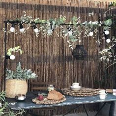 an outdoor dining area with wicker walls and plants on the table, potted plant in front