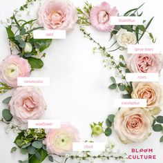 flowers arranged in the shape of a circle with labels on them that read, roses, seduous, sprouts, succulents, and eucalyptus