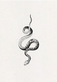 a black and white drawing of a snake