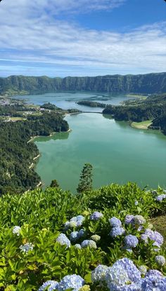 blue flowers are in the foreground, and green trees on the far side of the lake