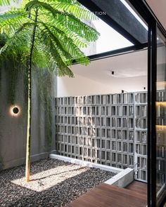 a small tree in the middle of a room with glass walls and wooden flooring