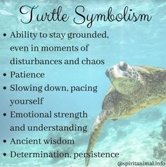 a turtle swimming in the ocean with words below it that read turtle symbolism ability to stay grounded, even in moments of distructing and chaos