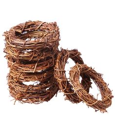 several bundles of twigs on a white background