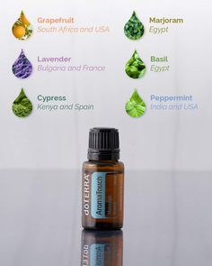 Calming Essential Oil Blend, Diy Oils, Essential Oil Blend, Break In, Post Workout