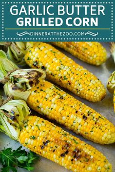 grilled corn on the cob with herbs