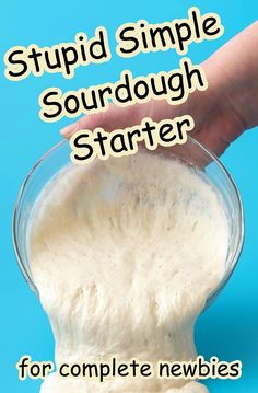 Dive into the world of sourdough baking with this beginner-friendly guide. Perfect for new bakers, this resource covers all the essentials you need to start your sourdough journey. Learn about the key ingredients, tools, and techniques that will set you up for success. Whether you're looking to bake your first loaf or refine your skills, this guide will help you master the art of sourdough with confidence and ease. Homemade Sourdough Starter Recipes, How To Make A Starter For Sour Dough Bread, How To Start A Bread Starter, 1 Day Sourdough Starter, How To Make A Bread Starter, Diy Bread Starter, Starting Sourdough From Scratch, Making Your Own Sourdough Starter, How To Start A Sourdough Starter Recipe