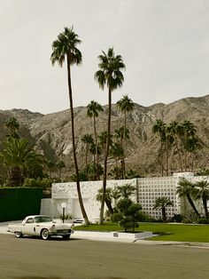 two cars are parked in front of a palm tree lined building with mountains in the background