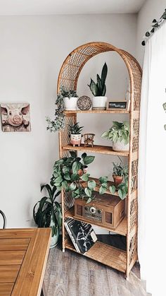 a wicker shelf with potted plants and books on it in a living room