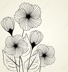 three flowers with leaves on a white background stock photo - 959782