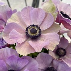 purple and white flowers are in a vase