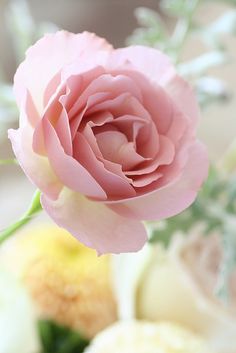 a pink rose is in the middle of some white and yellow flowers