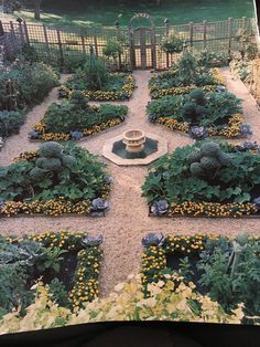 a garden with many different types of plants