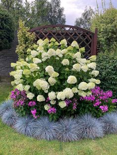 a garden filled with lots of purple and white flowers