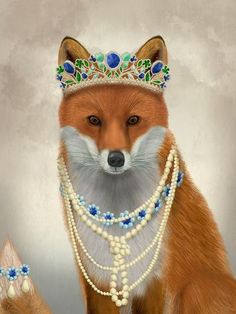 a fox wearing a tiara and pearls with a cat in the foreground on a gray background