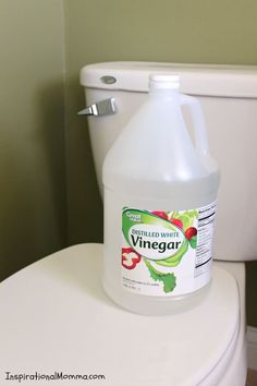 a gallon of vinegar sitting on top of a toilet