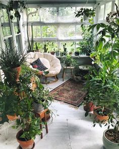 a room filled with lots of potted plants