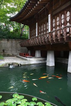 a large building sitting next to a pond filled with water lilies and goldfish