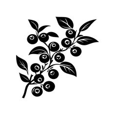 black and white drawing of berries with leaves