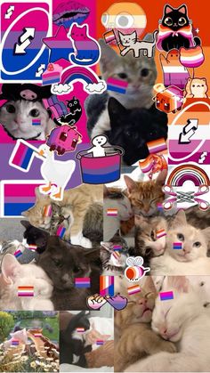 many different pictures of cats and kittens in the same collage, all with stickers on them