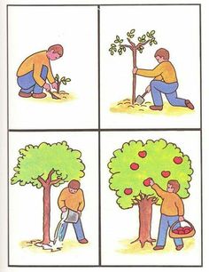 the four stages of apple picking are depicted in this cartoon, which shows how to prune an apple tree