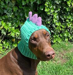 a brown dog wearing a green knitted hat with pink spikes on it's head