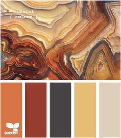 an orange and brown color scheme with different shades