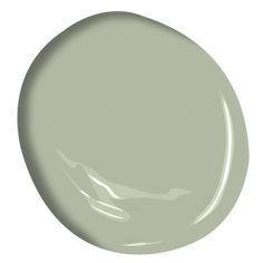 a white paint with a gray color on it's face and the bottom part of its