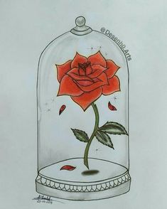 a drawing of a rose in a glass dome