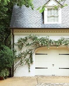 a white garage with vines growing on the side of it's door and windows