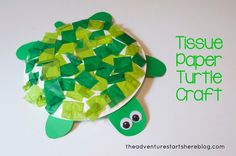 a paper plate turtle craft with the words tissue paper turtle craft on it's side