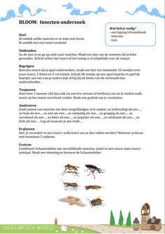 a page from the book insect life cycle with pictures of bugs and other insects on it