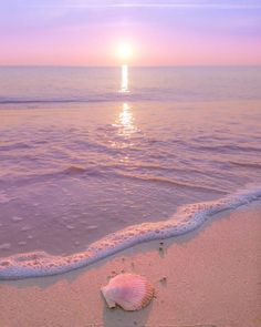 there is a shell on the beach at sunset