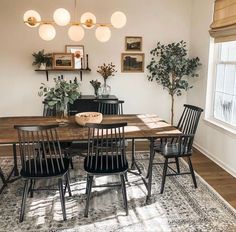 the dining room table is surrounded by black chairs and potted plants in vases