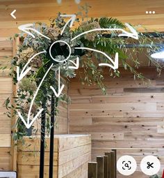 a tall plant sitting on top of a wooden floor next to a wall filled with plants