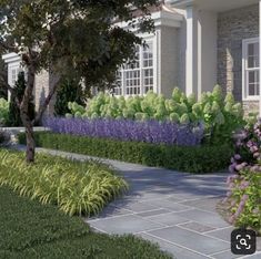 an artist's rendering of a front yard garden