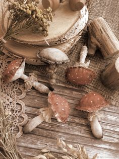 several mushrooms are sitting on the table