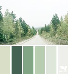 the color palette is green and has lots of trees on each side, along with other shades