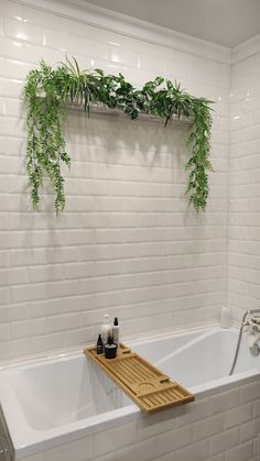 a bathtub with plants on the wall above it and a wooden tray in front of it