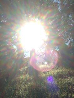 the sun shines brightly through the trees and grass in front of a person sitting on a bench