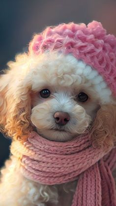 a small white dog wearing a pink hat and scarf