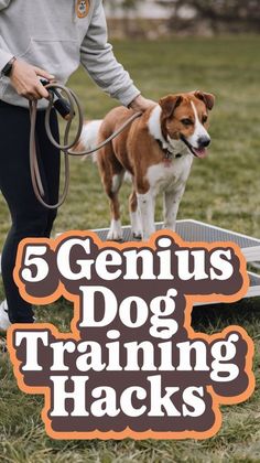 a person holding a dog on a leash with the words 5 genius dog training hacks